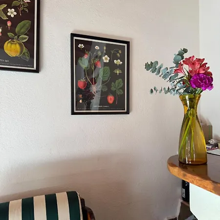 Villa Solanas, Casa Cacteae, 5 Min To The Solanas (Cagliari)