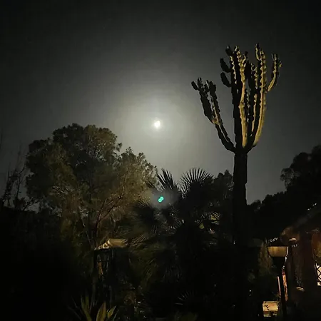 Villa Solanas, Casa Cacteae, 5 Min To The *