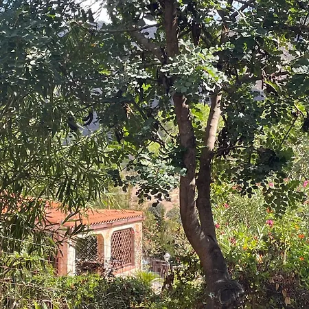 Solanas, Casa Cacteae, 5 Min To The