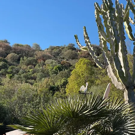 Villa Solanas, Casa Cacteae, 5 Min To The