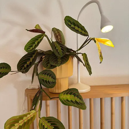 Solanas, Casa Cacteae, 5 Min To The Solanas (Cagliari)